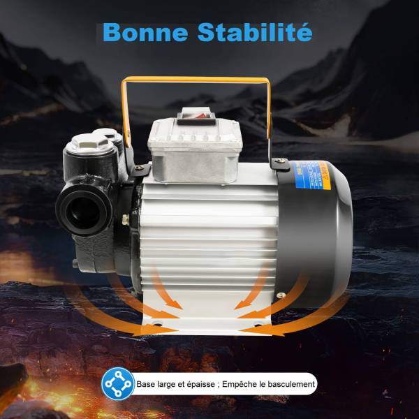 230V 550W Pompe à huile de chauffage Pompe diesel Pompe auto-amorçante Pompe d’aspiration d’huile Max.60L / min
