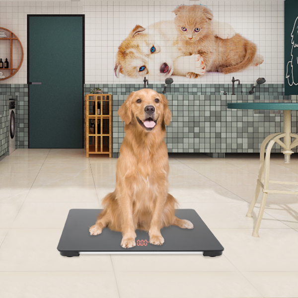 Balance pour chien Balance pour animaux de compagnie Balance pour animaux de grande taille utilisée dans les maisons Magasins d'animaux Hôpitaux pour animaux de compagnie Bureaux vétérinaires Écoles pour enfants Noir Balance pour chien Balance pour animaux de compagnie Balance pour animaux de grande taille utilisée dans les maisons Magasins d'animaux Hôpitaux pour animaux de compagnie Bureaux vétérinaires Écoles pour enfants Noir