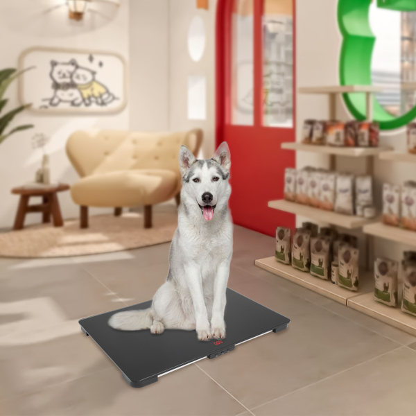 Balance pour chien Balance pour animaux de compagnie Balance pour animaux de grande taille utilisée dans les maisons Magasins d'animaux Hôpitaux pour animaux de compagnie Bureaux vétérinaires Écoles pour enfants Noir Balance pour chien Balance pour animaux de compagnie Balance pour animaux de grande taille utilisée dans les maisons Magasins d'animaux Hôpitaux pour animaux de compagnie Bureaux vétérinaires Écoles pour enfants Noir