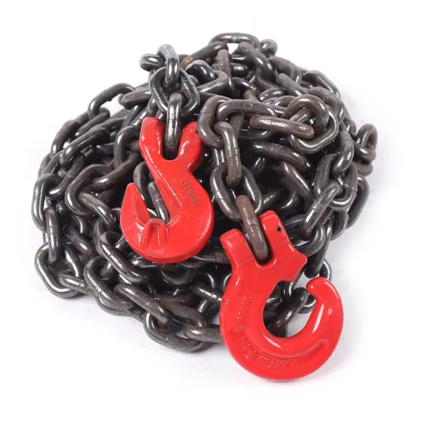 2T 8 mm Chaîne de chaîne avec outil de levage (5 m)