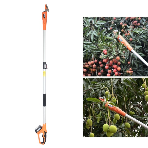 Sécateur électrique à branches hautes 220 V avec tiges d'extension en alliage d'aluminium dur et poignée