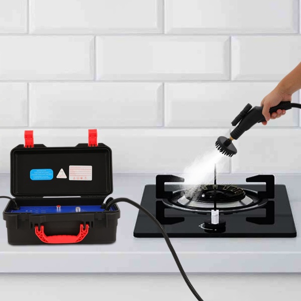 Nettoyeur vapeur portable 220 V haute température compact pour la voiture