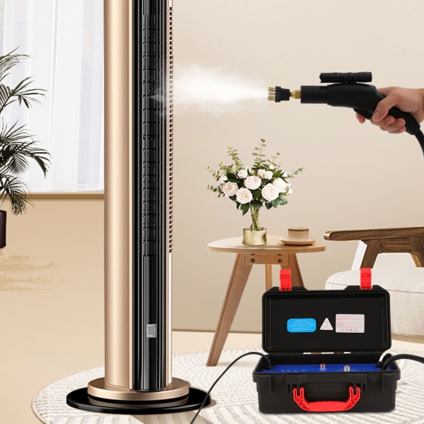 Nettoyeur vapeur portable 220 V haute température compact pour la voiture
