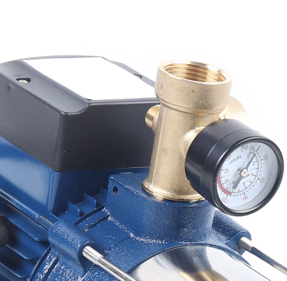 Pompe de jardin 2200 W 4000l/H - Hauteur de refoulement maximale - Outils de mélange