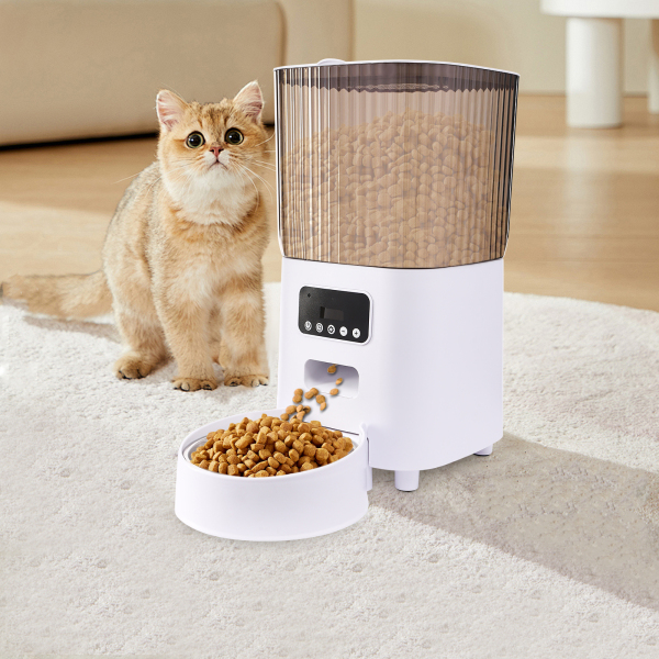 Mangeoire automatique pour animaux de compagnie, distributeur intelligent de nourriture pour chats