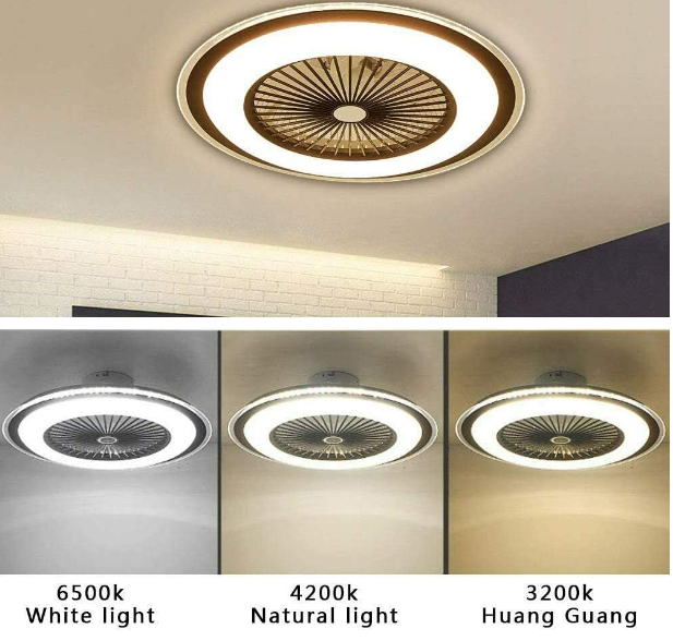 Plafonnier LED Fan Dimmable Ventilateur Intérieure Lampe Ultra Silencieux pour Salon(Gris) Ventilateur de Plafond avec Telecommande et Lumière