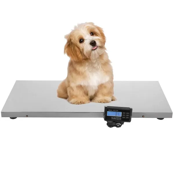 Balance numérique en acier inoxydable pour animaux domestiques 300 kg