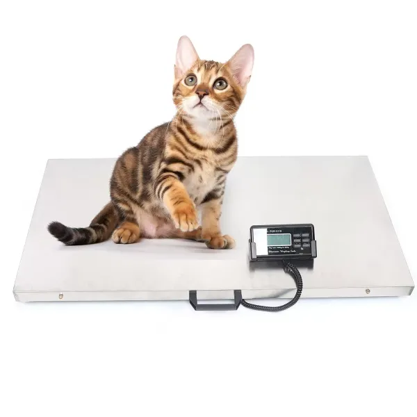 Balance numérique en acier inoxydable pour animaux domestiques 300 kg