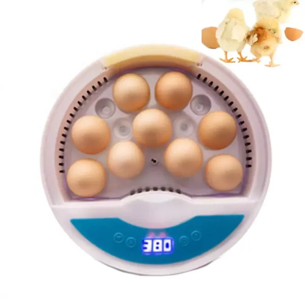 Incubateur entièrement automatique 9 œufs avec affichage LED de la température et régulation de l'humidité pour œufs de volaille