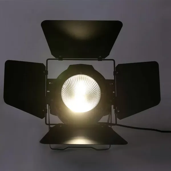 Par Licht Éclairage de scène 2 en 1 DMX COB Blanc froid 200 W