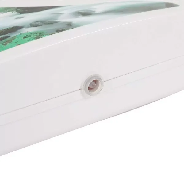 Générateur D'ozone Multifonctionnel de Purifer de Générateur D'ozone  220V avec une Minuterie 600mg / h