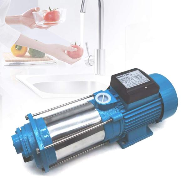 Pompe à vis auto-amorçante 1300 W/2200 W/2500 W - Pompe de contrôle de pompe en acier inoxydable
