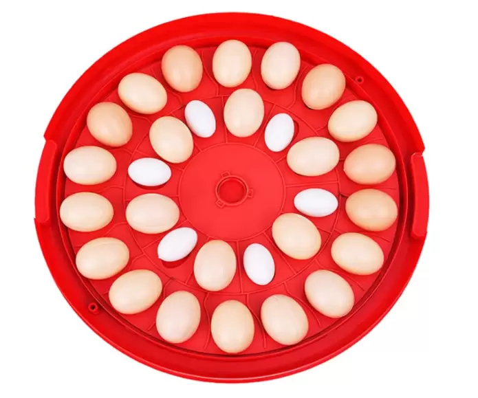 Incubateur à 30 œufs entièrement automatique - Round Digital Hatcher