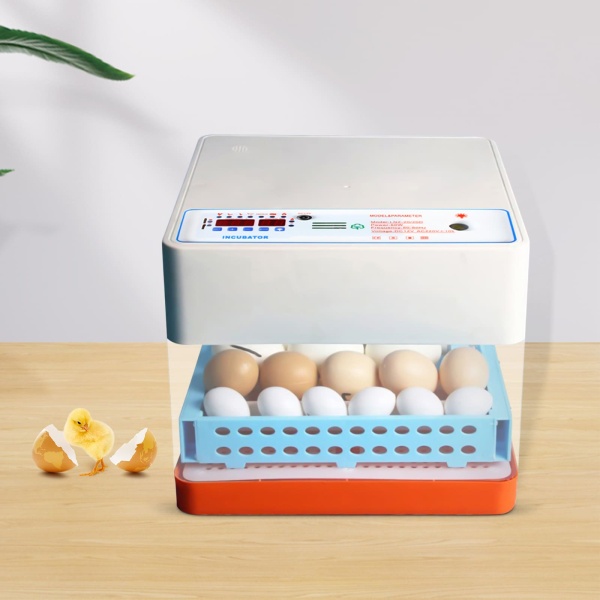 CNCEST-Incubateur de 24 œufs entièrement automatique - Haute qualité
