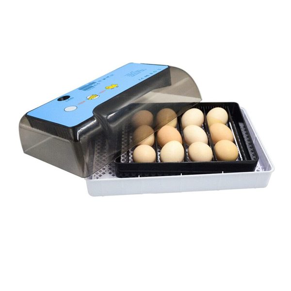 Couveuse 40 W entièrement automatique Couveuse LED Régulateur d'humidité Couverture visible pour Poulet Oie Canard Pigeon Caille Oiseau
