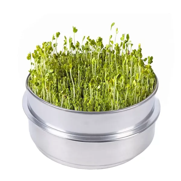 Boîte de germination pour germination - En acier inoxydable - Diamètre : 20 cm