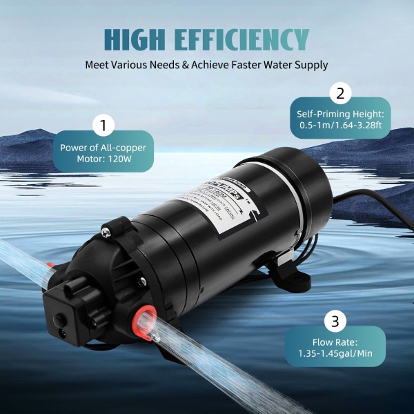 Pompe à eau auto-amorçante - 220 V - 5,5 l/min - 3 chambres - Pompe à pression de 90 PSI max pour nettoyage de l'eau, machine à filtre, DP-160M