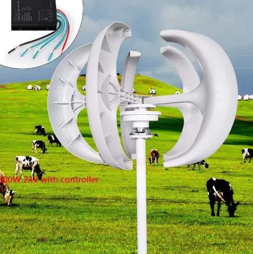 600W 24V verticale 5-bladige windturbinegenerator lantaarnas met controller