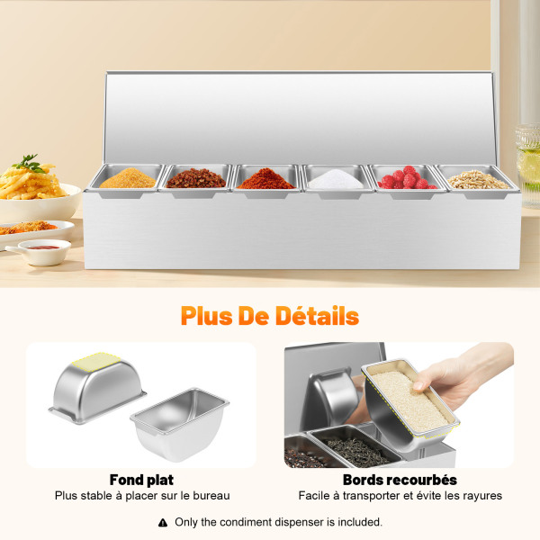 Lot de 6 boîtes à épices en acier inoxydable avec couvercles, récipients à épices, Boîte à ingrédients, 6 compartiments