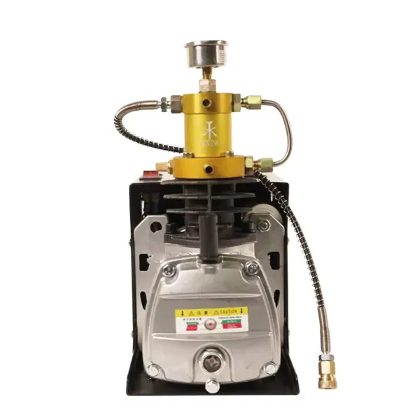 Pompe à air électrique 1800 W 30 MPA 220 V 4500 PSI Pompe à air haute pression Pompe à air électrique 1800 W 30 MPA 220 V 4500 PSI Pompe à air haute pression