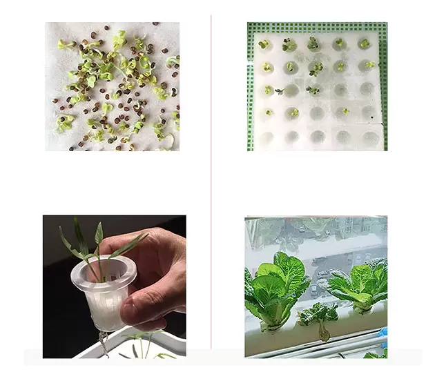 Hydrocultuur kweekset met 4 buizensysteem en 36 plantlocaties
