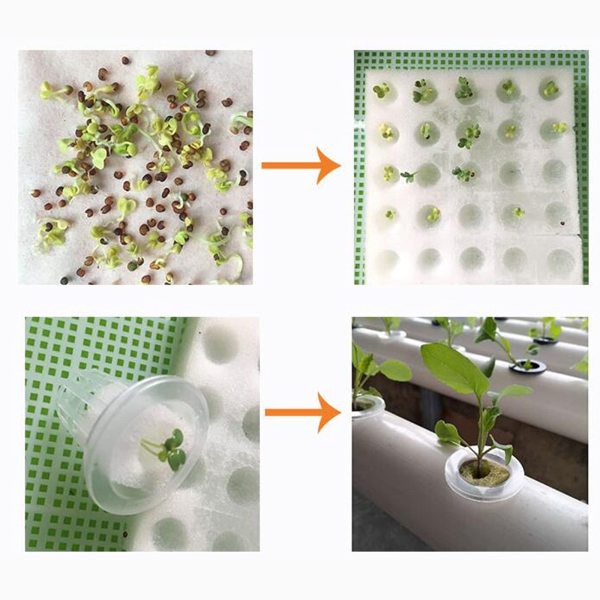 Système hydroponique en PVC - Pour culture aquatique - Avec pompe à eau - Pour balcon et jardin