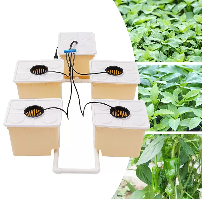 Hydrocultuursysteem voor een hydrocultuur kweeksysteem binnenshuis, zonder grond