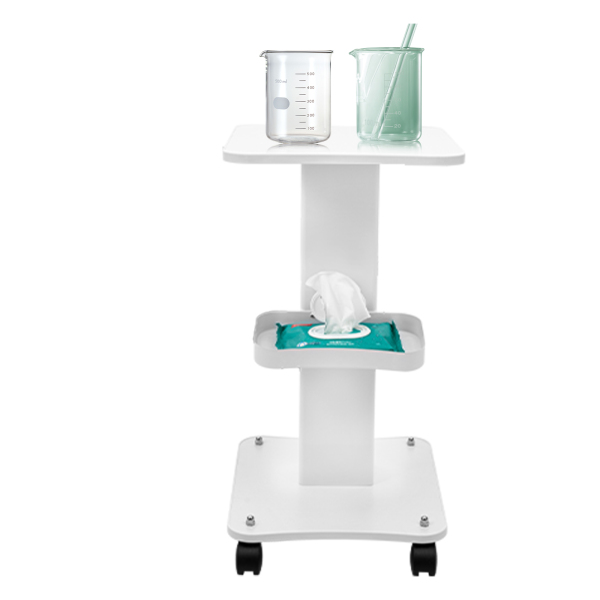 Mobile de Beauté D'outil Médical de Chariot avec la Poignée, Roue Universelle avec Le Frein Blanc Salon de Coiffure