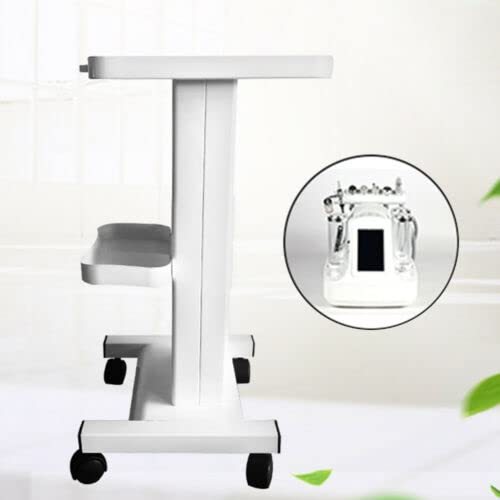 Chariot de Salon avec Support de Prise Chariot Roulant Support de Roue de beauté Chariot de Spa (Blanc)
