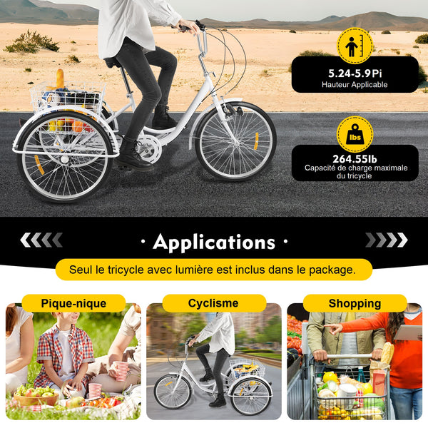 Tricycle adulte 6 vitesses 24 pouces 3 roues