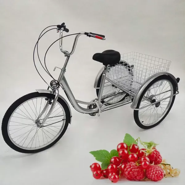 Vélo 24" 3 roues avec panier, vitesse 6 vitesses pour adulte - Réglable en hauteur - Boîtier en acier au carbone - Pour sports de plein air