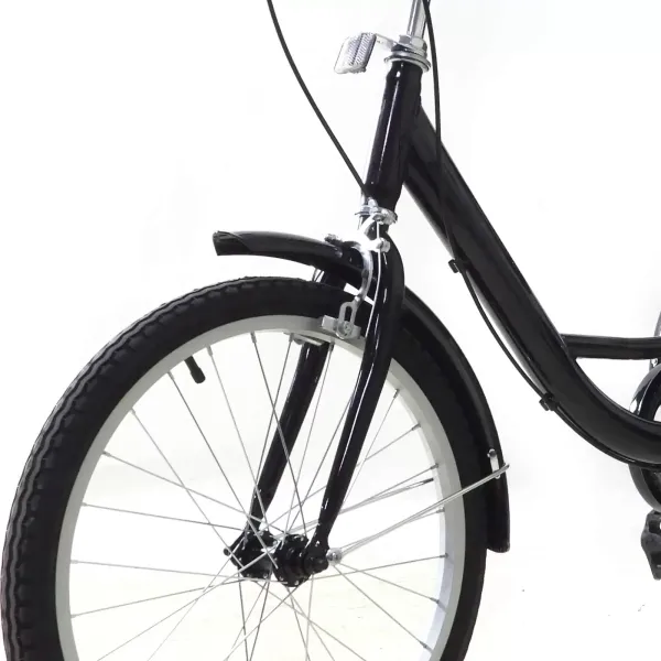 Tricycle 20 Pouces pour Adultes, Cadre en Acier à Haute teneur en Carbone, vélo à 3 Roues avec Panier pour Adultes et Personnes âgées