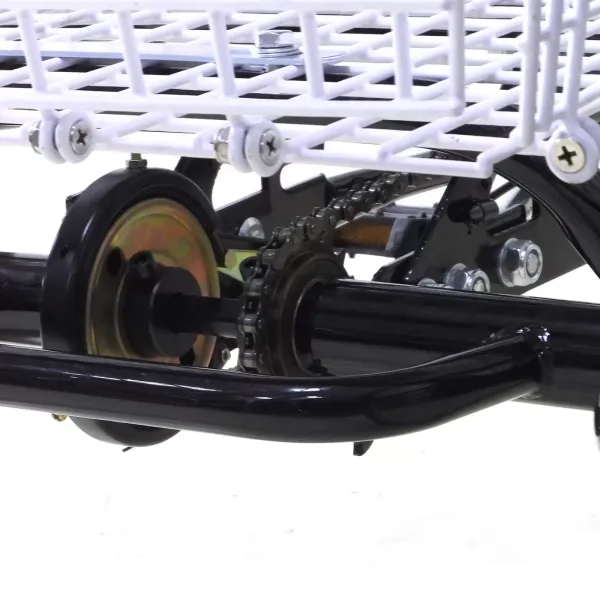 Tricycle 20 Pouces pour Adultes, Cadre en Acier à Haute teneur en Carbone, vélo à 3 Roues avec Panier pour Adultes et Personnes âgées Tricycle 20 Pouces pour Adultes, Cadre en Acier à Haute teneur en Carbone, vélo à 3 Roues avec Panier pour Adultes et Personnes âgées