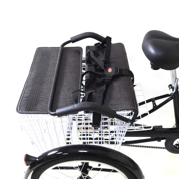 Tricycle 20 Pouces pour Adultes, Cadre en Acier à Haute teneur en Carbone, vélo à 3 Roues avec Panier pour Adultes et Personnes âgées