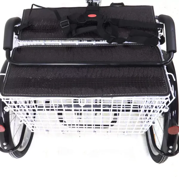 Tricycle 20 Pouces pour Adultes, Cadre en Acier à Haute teneur en Carbone, vélo à 3 Roues avec Panier pour Adultes et Personnes âgées Tricycle 20 Pouces pour Adultes, Cadre en Acier à Haute teneur en Carbone, vélo à 3 Roues avec Panier pour Adultes et Personnes âgées