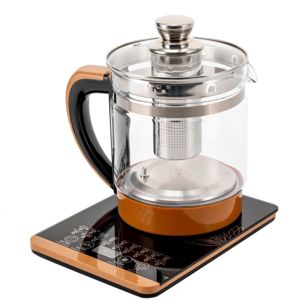 Théière et bouilloire électrique 2 en 1 avec réglage de la température 1,8 l