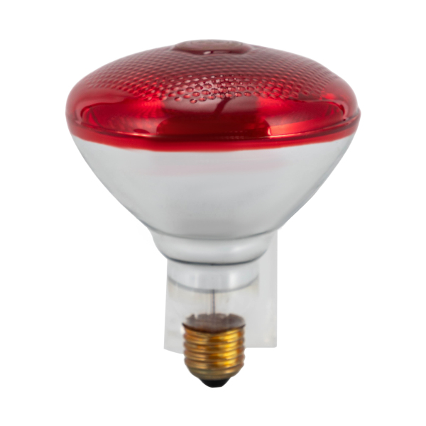 Lampe infrarouge, luminothérapie infrarouge, température de chauffage : environ 100℃, 220V, 150W, blanc Lampe infrarouge, luminothérapie infrarouge, température de chauffage : environ 100℃, 220V, 150W, blanc