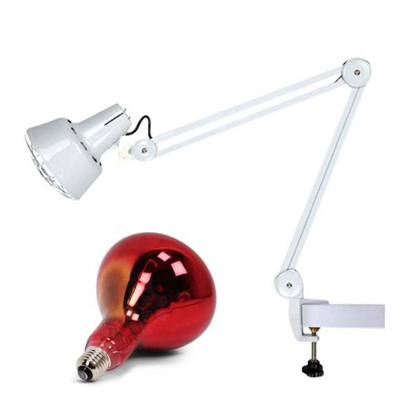 Lampe de thérapie thermique infrarouge réglable 275 W avec clip, pour usage domestique, salon de massage Lampe de thérapie thermique infrarouge réglable 275 W avec clip, pour usage domestique, salon de massage