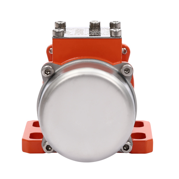 Moteur vibrant avec régulateur de vitesse, moteur vibrant électrique 50 W 12 V, moteur vibrant pour l'exploitation minière, la métallurgie Moteur vibrant avec régulateur de vitesse, moteur vibrant électrique 50 W 12 V, moteur vibrant pour l'exploitation minière, la métallurgie