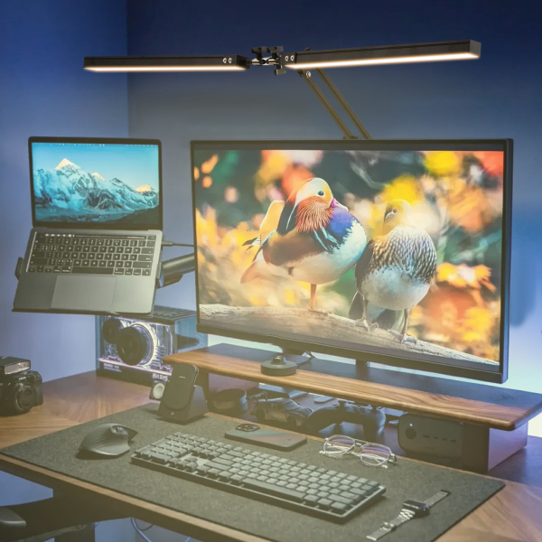 Lampe de lecture de table, lampe de bureau LED avec bouton poussoir, lampe de bureau, éclairage et luminosité réglables