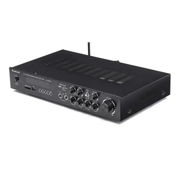 Mini amplificateur de puissance HiFi Bluetooth 600 W - Amplificateur numérique stéréo 4.2 FM / AM - Canal audio