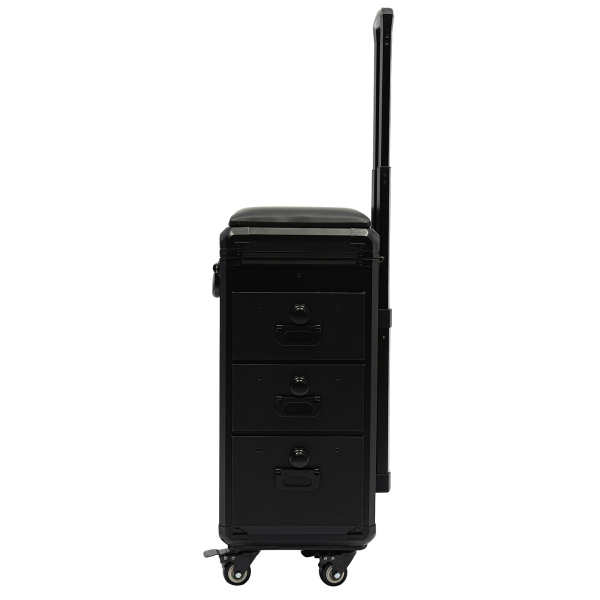 Mallette amovible pour salon de coiffure Tattoo Nail Art Embroidery Trolley Case - Metal Plate