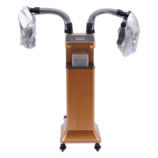 Machine de teinture capillaire multifonctionnelle, vaporisateur à vapeur pour cheveux nano, machine à huile capillaire pour permanente à basse température, teinture capillaire à la vapeur - Or