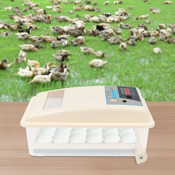 Incubateur 24 œufs entièrement automatique avec affichage LED de la température et régulation de l'humidité - Couveuse automatique 220 V
