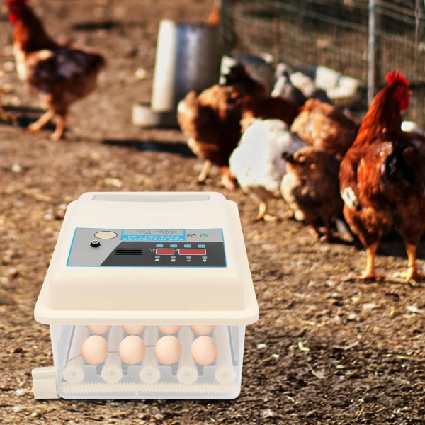 Incubateur 24 œufs entièrement automatique avec affichage LED de la température et régulation de l'humidité - Couveuse automatique 220 V