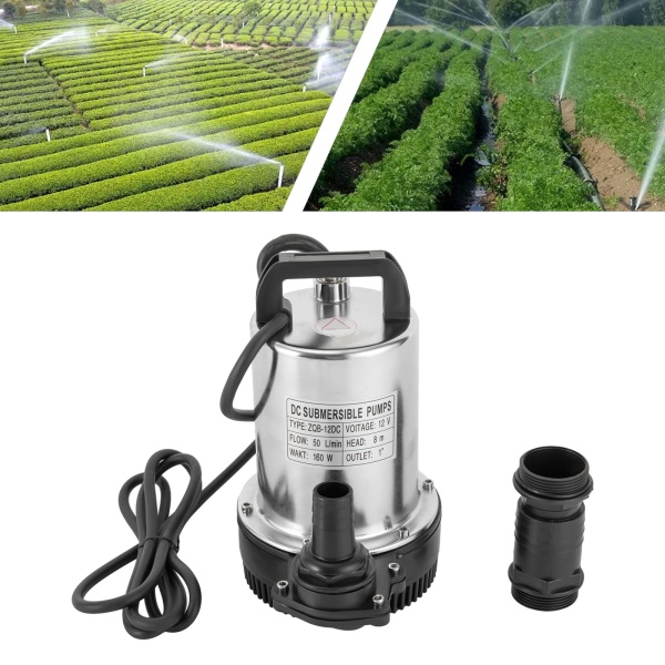 Pompe submersible haute pression de livraison en acier inoxydable 160 W 12 V 6000 l/h pour jardin, fontaine de jardin