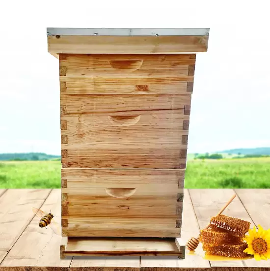Hive Bee Flow Hive Bijenkorf Houten kist voor bijenteelt