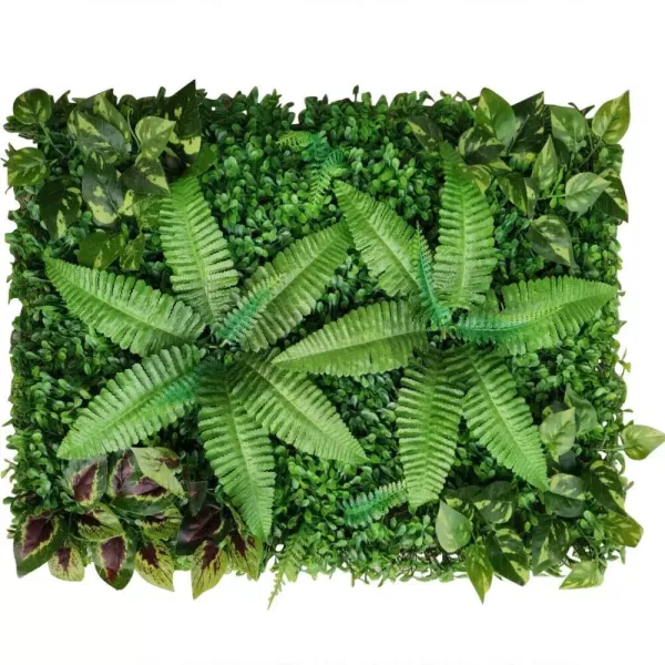 Lot de 6 murs de plantes - 40 x 60 cm - Protection UV - Pour la maison, la chambre ou le jardin