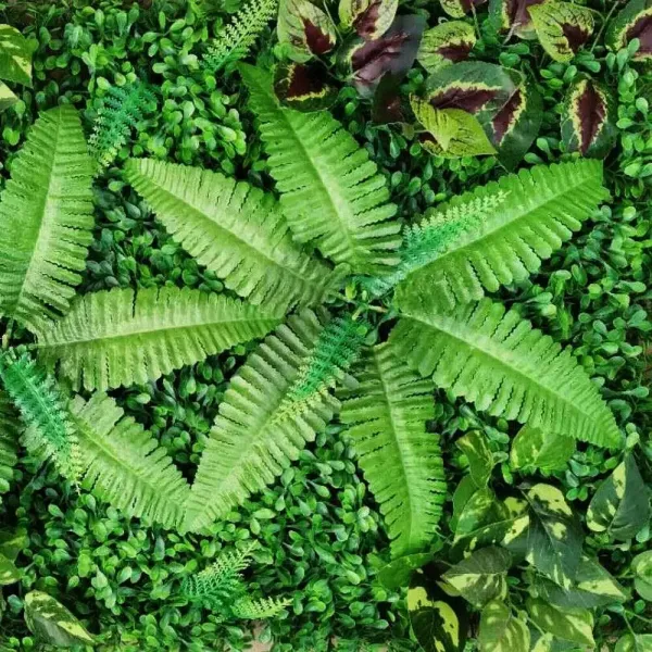 Lot de 6 murs de plantes - 40 x 60 cm - Protection UV - Pour la maison, la chambre ou le jardin