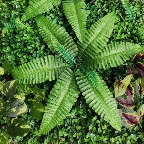 Lot de 6 murs de plantes - 40 x 60 cm - Protection UV - Pour la maison, la chambre ou le jardin Lot de 6 murs de plantes - 40 x 60 cm - Protection UV - Pour la maison, la chambre ou le jardin